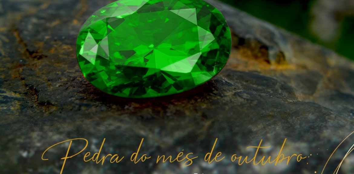 Blog Single