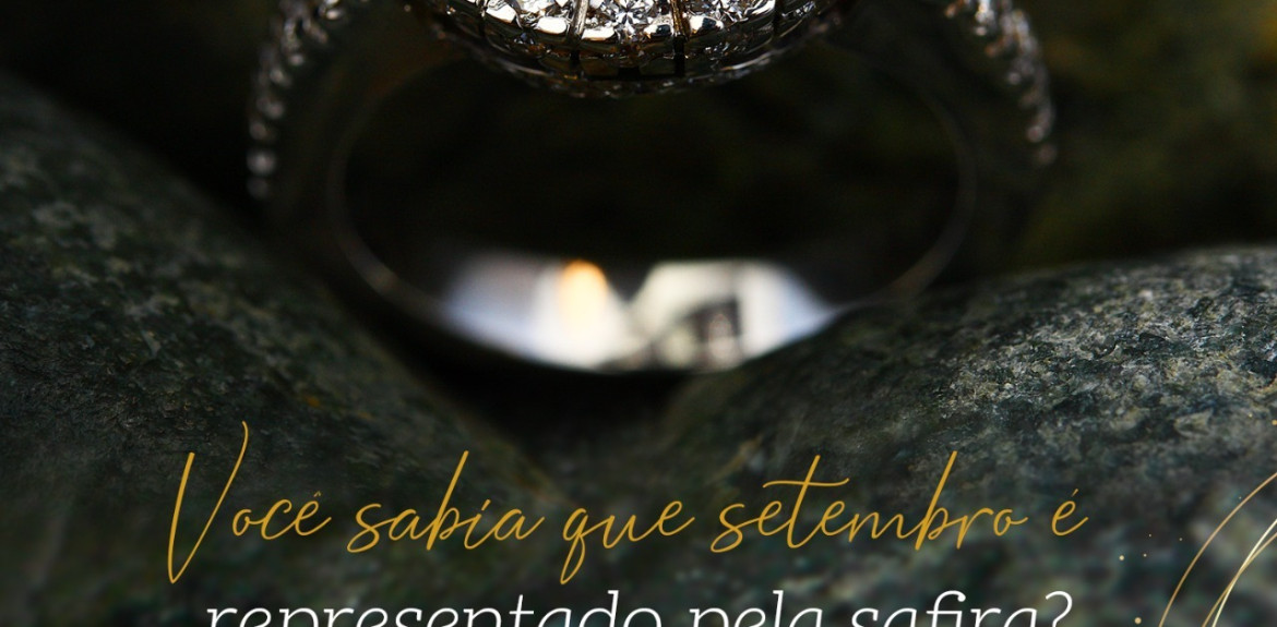Blog Single